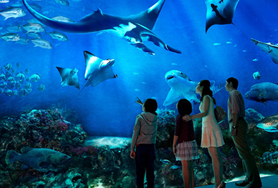 Marine World Aquarium