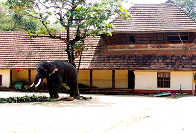 Punnathoor Kotta
