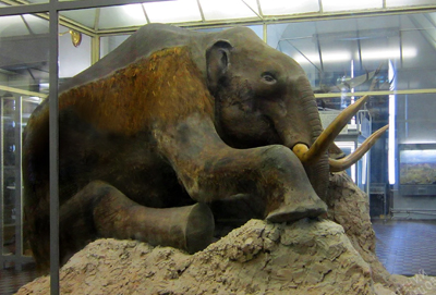 Thrissur Zoo and Museum