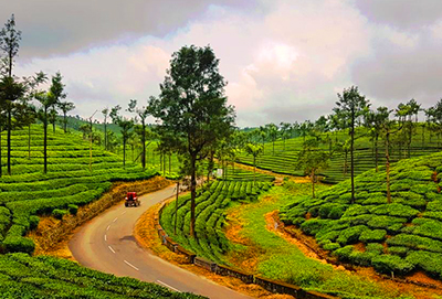 Valparai